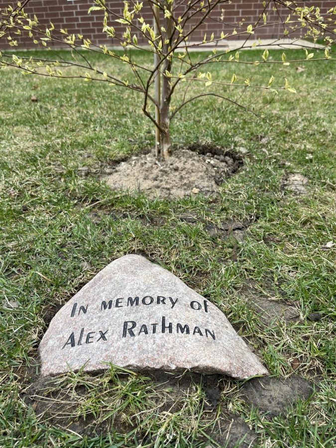 Tree planted in Rathmans honor.